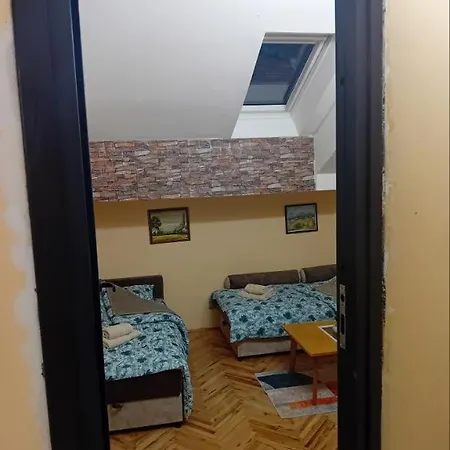 My * Нови-Сад