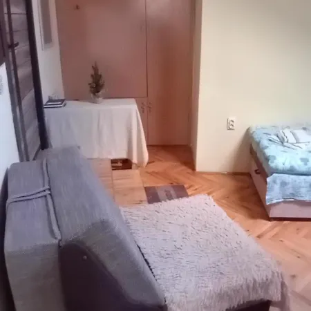 My * Нови-Сад